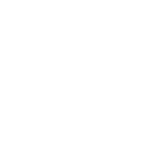 Icona cliente Diesel