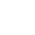 dainese